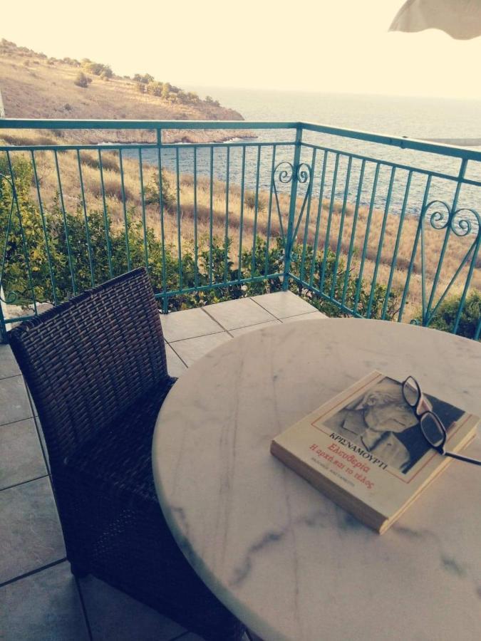 Parálion Ástros Villa Castle Sea View מראה חיצוני תמונה