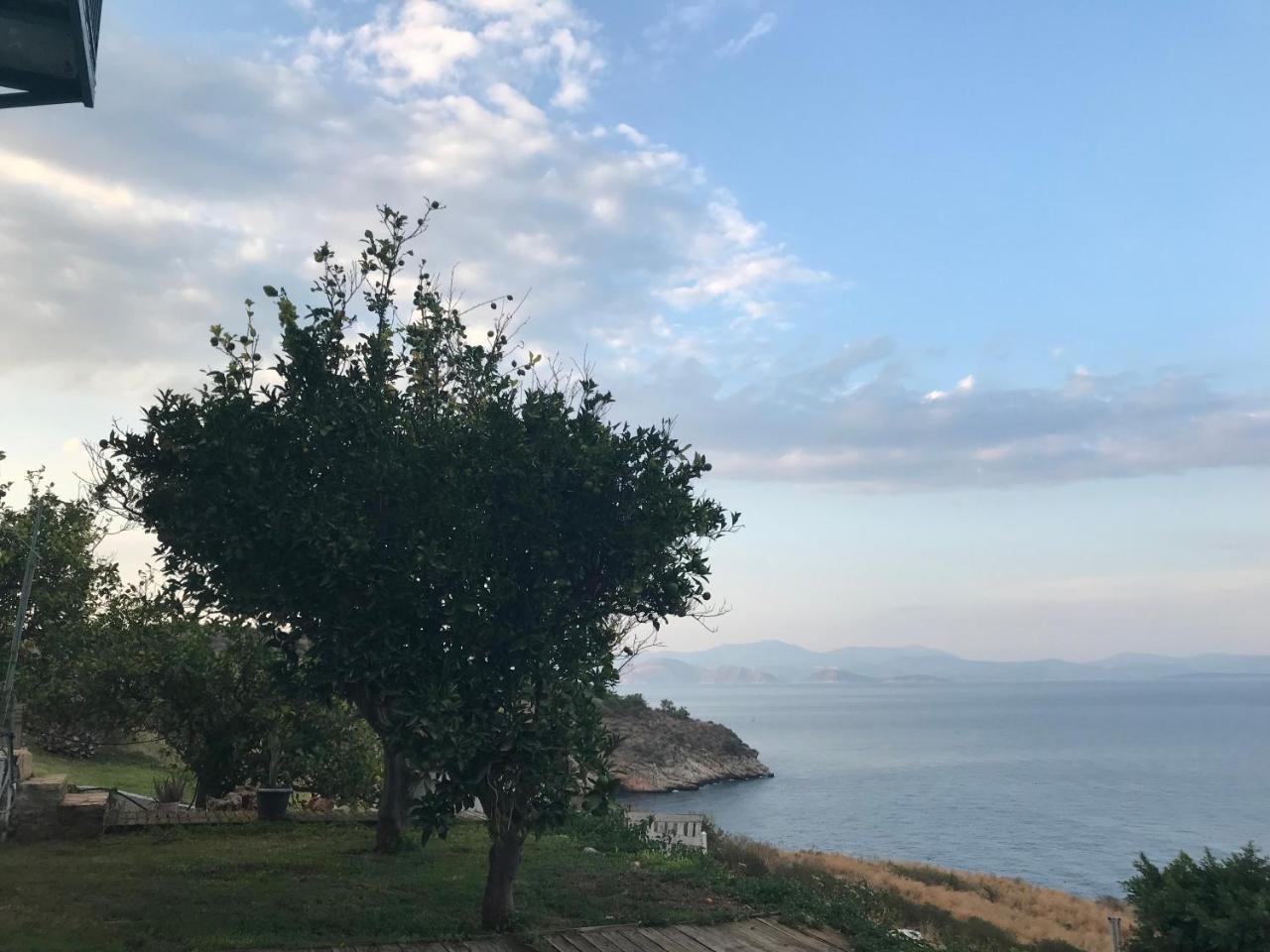 Parálion Ástros Villa Castle Sea View מראה חיצוני תמונה